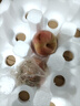 同甘園水蜜桃 現摘新鮮當季應季時(shí)令水果整箱山西桃子脆甜軟硬兩吃 整箱5斤單果110-200g凈重4.5斤 曬單實(shí)拍圖
