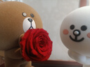 JoyFlower布朗熊可妮兔永生玫瑰花禮盒生日禮物新婚結婚紀念送女友表白高級 曬單實(shí)拍圖