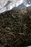 吳裕泰茶葉 花茶花草茶 濃香型茉莉花茶茉莉香盈 六窨含芽180g實(shí)惠 曬單實(shí)拍圖