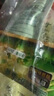 麗芙阿達帕林凝膠35g/盒第三代維a酸乳膏醫用祛痘印修復淡化痘印痘坑修復祛痘藥膏去黑頭收縮毛孔粗大修復 曬單實(shí)拍圖