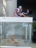 森森（SUNSUN）超白魚(yú)缸一體缸自循環(huán)客廳水族箱桌面家用懶人免換水小型金魚(yú)缸 超白HEJ300標配 帶濾材+棉 曬單實(shí)拍圖