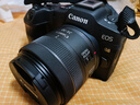 佳能（Canon）EOS R8 全畫(huà)幅微單數碼相機 RF24-50鏡頭套裝（約2420萬(wàn)像素/小型輕量） 曬單實(shí)拍圖