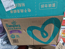 幫寶適（Pampers）超薄干爽拉拉褲男女通用綠幫成長(zhǎng)褲褲式嬰兒小內(nèi)褲學(xué)步褲寶寶 加加加大碼3XL78【17kg以上】 曬單實(shí)拍圖