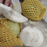 京鮮生 樹(shù)熟軟糯奶油芭樂(lè ) 凈重2.5斤裝單果150g+ 番石榴 源頭直發(fā)包郵 曬單實(shí)拍圖