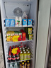 星星展示柜冷藏保鮮柜飲料展示柜冰柜商用冷藏柜風(fēng)冷除霜酒水柜單門蔬菜水果保鮮便利店留樣柜LSC-235H 曬單實(shí)拍圖