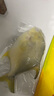 翔泰海南深海金鯧魚(yú)700g 2條 火鍋 生鮮魚(yú)類(lèi) BAP認證 海鮮水產(chǎn) 中秋 曬單實(shí)拍圖