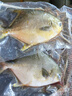 恒興食品 原條金鯧魚(yú)700g 2條裝 BAP認證海鮮生鮮深海魚(yú)火鍋食材 曬單實(shí)拍圖
