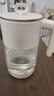 小熊（Bear）家用冷水壺高硼硅玻璃杯防燙硅膠底1.8L大容量涼水壺杯子CX-JB071 曬單實(shí)拍圖