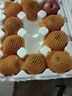 甜醉了 煙臺蘋(píng)果棲霞紅富士新鮮水果生鮮山東特產(chǎn)脆甜整箱平果禮盒禮品 紅富士?jì)糁?.5斤75-80mm 曬單實(shí)拍圖