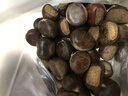 燕栗翁正宗遷西板栗河北特產(chǎn)即食生栗子5斤新鮮油栗子新貨遷西直發(fā) 燕翁精品大粒5斤（每斤60顆左右） 曬單實(shí)拍圖