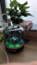 犀狼【國補秒殺丨重磅新品】藍牙音響電腦音箱桌面臺式2025新款水晶琉璃5代4高音質(zhì)無線低音炮家用室內(nèi) 柏林之聲|HiFi高音質(zhì) 國補旗艦版mini 官方原裝+國行正品+全國聯(lián)保 曬單實拍圖