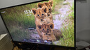 泰坦軍團27英寸QD-MiniLED 4K 160Hz雙模320Hz DyDs技術(shù) Type-C 65W 內置音箱電競顯示器P275MV PLUS增強版 曬單實(shí)拍圖