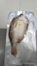 黃小漁南美黃魚(yú)鲞450g/2-3條三去大黃魚(yú)黃花魚(yú)生鮮 海鮮水產(chǎn)燒烤魚(yú)類(lèi)  曬單實(shí)拍圖