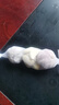 大蒜頭出口品質(zhì)網(wǎng)兜紫蒜蔬菜調料新鮮大果燒烤火鍋食材 【精品網(wǎng)兜裝】3頭 0.24g 曬單實(shí)拍圖