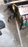 閑鳥德國超高壓洗車機清洗機家用220V洗車噴水槍沖洗刷車泵大功率神器 6400W 標準款+12米防爆管+高壓噴槍 銅芯電機商用便攜式養(yǎng)殖場庭院洗地澆花強力清洗機 曬單實拍圖