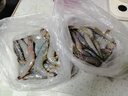 蝦有蝦途青島大蝦無(wú)冰新鮮海蝦白蝦鮮活冷凍大蝦批發(fā)3.6斤凈重 青島大蝦 3.6斤(凈重)  只只分離 18-20cm【超大蝦皇】無(wú)冰 曬單實(shí)拍圖