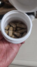 Sashas薩沙Sashas鯊魚(yú)軟骨素關(guān)節靈貓專(zhuān)用60粒 澳洲進(jìn)口保護關(guān)節健骨 曬單實(shí)拍圖