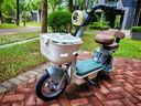 臺鈴電動(dòng)車(chē)電動(dòng)自行車(chē)48V22AH新國標可上牌電瓶車(chē)電助力代步通勤 2025年新款上新 綠色-48V22AH藍鯨動(dòng)力電池 曬單實(shí)拍圖