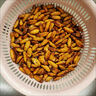 金絲蠶蛹鮮活新鮮冷凍無(wú)鹽山東特產(chǎn)黃金蟬蛹油炸小桑蠶蛹商用燒 【5斤裝】25年新貨 新鮮味美 曬單實(shí)拍圖