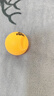 匹克乒乓球拍專(zhuān)業(yè)學(xué)生成人橫直拍對拍套裝含 拍包 三只球 P4星 曬單實(shí)拍圖