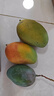 京鮮生 攀枝花凱特芒果 凈重8.5斤 帶箱9斤 單果400g+ 生鮮水果源頭直發(fā) 曬單實(shí)拍圖