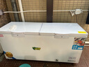 星奧雪冰柜商用家用臥式冷柜大容量冷藏冷凍展示柜雙溫商用大容量冷凍柜商用大冰柜 818單溫銅管升級款（長(cháng)1.7米） 曬單實(shí)拍圖
