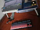 惠普（HP）GK200機械鍵盤(pán)有線(xiàn)辦公游戲鍵盤(pán) 20種背光燈效 87鍵電競鍵盤(pán)鼠標套裝電腦外設鍵鼠 側刻黑莓粉【青軸】白光 曬單實(shí)拍圖