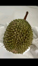 京鮮生馬來(lái)西亞D197貓山王榴蓮3.5-4斤保4房新鮮冷凍水果 曬單實(shí)拍圖
