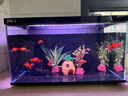 當貝智能生態(tài)魚(yú)缸1Ultra 一體缸自循環(huán)雙過(guò)濾AI托養懶人家用桌面魚(yú)缸 曬單實(shí)拍圖