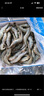 生冷凍南美白對蝦 2kg 2kg(凈重) 曬單實(shí)拍圖