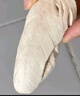 【限量試吃】?jī)龈呻u胸肉貓零食貓糧發(fā)腮貓糧雞小胸雞肉干雞脯肉 凍干雞小胸350g*1桶裝（凈重） 曬單實(shí)拍圖