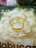babycare金山茶花紙尿褲M50片(6-11kg)嬰兒尿不濕超薄透氣新生柔花苞褲 曬單實(shí)拍圖