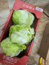 綠食者  球生菜5斤 西生菜圓生菜 漢堡用西餐沙拉色拉食材 健康輕食蔬菜 5斤 曬單實(shí)拍圖