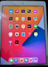 Apple/蘋(píng)果 二手平板電腦  2022/2021/2020/19/18/17款 iPad游戲 95新2020款8代iPad 128G  WiFi 贈品 觸摸筆 保護殼 充電器 鋼化膜 曬單實(shí)拍圖