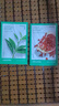 悅詩(shī)風(fēng)吟（Innisfree）綠茶面膜*2石榴面膜*1蘆薈面膜*1面膜套裝 曬單實(shí)拍圖