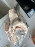 荷裕食品智利冷凍凈三文魚(yú)頭800g/袋（2個(gè)裝） 去鰓  香煎煲湯  曬單實(shí)拍圖