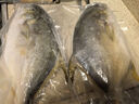 翔泰 海南大規格金鯧魚(yú)550g1條 海魚(yú) 生鮮魚(yú)類(lèi) 火鍋 海鮮水產(chǎn) 曬單實(shí)拍圖