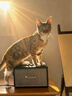 MARSHALL（馬歇爾）ACTON III 音箱3代無(wú)線藍(lán)牙搖滾家用重低音禮物音響 黑色 曬單實(shí)拍圖