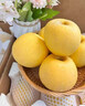 京鮮鯤山東奶油富士蘋(píng)果水果黃金富士煙臺蘋(píng)果脆甜新鮮水果生鮮 凈重3斤中果 70mm+ 6-9枚 曬單實(shí)拍圖