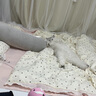 南極人水洗棉床上用品四件套公主少女四季通用床單被罩200x230cm床笠款 蕾絲小花邊-粉白波點(diǎn) 1.8m 床單款 四件套-被套180*220cm 曬單實(shí)拍圖
