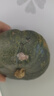 貝貝南瓜正宗板栗味小南瓜新鮮寶寶輔食粉糯營(yíng)養豐富優(yōu)質(zhì)老南瓜 貝貝南瓜凈重 5斤 曬單實(shí)拍圖