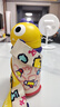 babycare兒童水杯6個(gè)月以上寶寶霸王龍不銹鋼保溫杯上學(xué)450ml-新舊款混發(fā) 曬單實(shí)拍圖