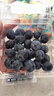 吧唧果當季云南藍莓鮮果進(jìn)口花香藍莓寶寶輔食護眼水果 12/果徑16mm以下/凈重100g/盒 曬單實(shí)拍圖