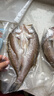 海鼎紀三去海鱸魚(yú)2條裝共800g 開(kāi)背鱸魚(yú)生鮮魚(yú)類(lèi) 海鮮水產(chǎn)夜宵食材 曬單實(shí)拍圖