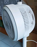 美的（Midea）【暴風(fēng)循環(huán)】空氣循環(huán)扇大風(fēng)量搖頭電風(fēng)扇家用臺式落地扇輕音臥室節(jié)能小風(fēng)扇柔風(fēng)輕羽扇 FGA24TQ 曬單實拍圖