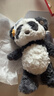 babycare熊貓安撫玩偶睡眠手偶阿貝貝嬰兒寶寶睡覺(jué)毛絨玩具新生兒見(jiàn)面禮盒 曬單實(shí)拍圖
