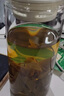 京東京造Tritan魔力磁彈泡茶杯男女學(xué)生便攜茶水分離杯隨手杯 活力黑800mL 曬單實(shí)拍圖