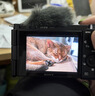 索尼（SONY）ZV-E10 微單數碼相機 4K視頻 vlog 直播相機 zv-e10 創(chuàng  )意濾鏡 E10K黑色套機 官方標配【相機包+快拆腕帶+品牌電池+座充】 曬單實(shí)拍圖