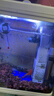 森森 小鯉魚(yú)缸過(guò)濾器凈水循環(huán)三合一內置水族箱過(guò)濾系統XQP-500F 6W 曬單實(shí)拍圖