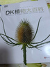 DK植物大百科（新版）典藏級植物圖譜 探索植物秘密 京東自營(yíng)正版 曬單實(shí)拍圖